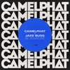 Be Someone by CamelPhat iTunes Track 1