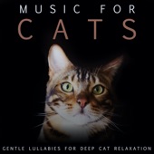 Music For Cats: Gentle Lullabies For Deep Cat Relaxation artwork