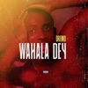 Wahala Dey - Single