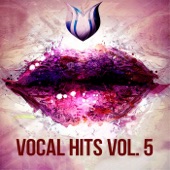 Vocal Hits, Vol. 5 artwork