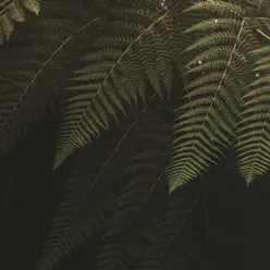 Celeste - Single - Pijama