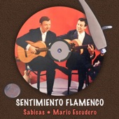 Sentimiento Flamenco artwork