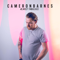 Cameron Barnes - Looking Back artwork