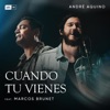 Cuando Tu Vienes (feat. Marcos Brunet) - Single