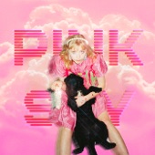 Pink Sky (Endless Summer) artwork