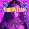 Trippystan - Single