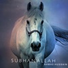 Subhanallah - Single