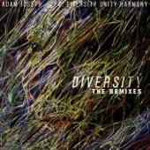 Diversity (Adam Joseph Remix) [feat. Diversity Unity Harmony] artwork
