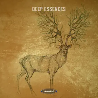 Deep Essences by Various Artists album reviews, ratings, credits