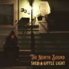 Shed a Little Light - Single