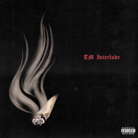 Cover artwork for TM Interlude
