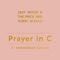 Prayer in C (Robin Schulz Radio Edit) - Lilly Wood & The Prick & Robin Schulz lyrics