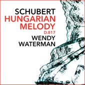 Hungarian Melody in B minor, D.817 artwork