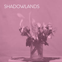 Shadowlands - 003 artwork