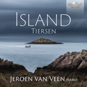 Tiersen: Island artwork