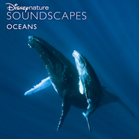 Disneynature Soundscapes - Disneynature Soundscapes: Oceans artwork