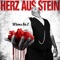 Herz aus Stein artwork