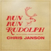 Run Run Rudolph (2019 CMA Country Christmas Performance) [Live] artwork