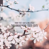 The Awakening (feat. Scot & Millfield) [2020 Edit] artwork