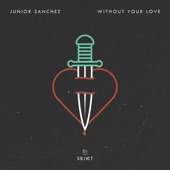 Without Your Love (Extended Mix) artwork