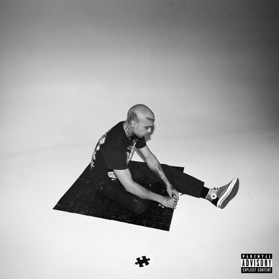 Cover artwork for Intro