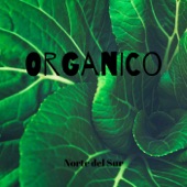 Organico artwork