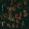 Flowers - Single