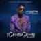 Ogede (feat. Wizkid & Timaya) - Orezi lyrics