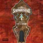 The Infamous Stringdusters - Earl's Breakdown