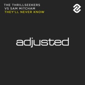 They'll Never Know (The Thrillseekers vs. Sam Mitcham) artwork