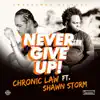 Never Give Up (feat. Shawn Storm) - Single album lyrics, reviews, download