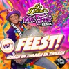 Feest! (100% Feest Remix) - Single