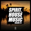 Spirit of House Music, Vol. 25