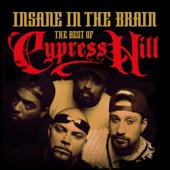 Insane in the Brain: The Best of Cypress Hill artwork