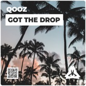 Got the Drop artwork