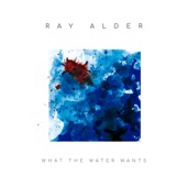 What the Water Wanted artwork
