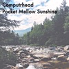 Pocket Mellow Sunshine - EP