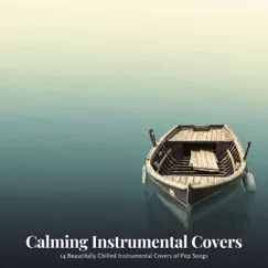 Calming Instrumental Covers: 14 Beautifully Chilled Instrumental Covers of Pop Songs by Various Artists album reviews, ratings, credits