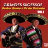 Grandes Sucessos, Vol. 1, 2011