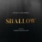 Shallow (feat. Parker McCollum) - Danielle Bradbery lyrics
