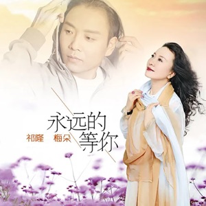 Qi Long (祁隆) & Mei Duo (梅朵) - Yong Yuan De Deng Ni (永遠的等你) - Line Dance Music