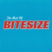 Bitesize - I Forgot My Mantra
