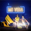 Mi Vida (feat. Hichem Smati) - Single