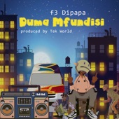 Duma Mfundisi artwork