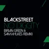 No Diggity (feat. Dr. Dre & Queen Pen) [Sam Wilkes & Brian Green Remix] - Single album lyrics, reviews, download