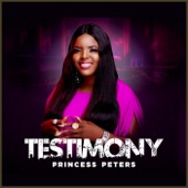 Testimony artwork