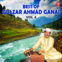 Gulzar Ahmad Ganai - Best of Gulzar Ahmad Ganai, Vol. 4 artwork
