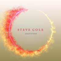Steve Cole - Gratitude artwork