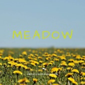 Meadow artwork