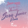 Absolute (Sebb Junior Remix) - Single